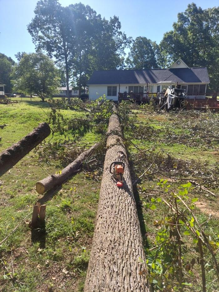 Cothren Construction Tree & Land Management - Gaffney, SC