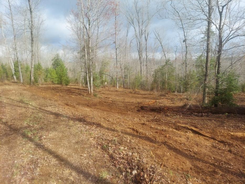 Cothren Construction Tree & Land Management - Gaffney, SC