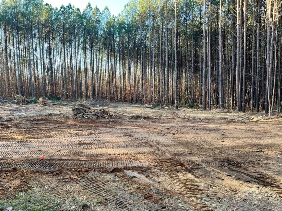 Cothren Construction Tree & Land Management - Gaffney, SC