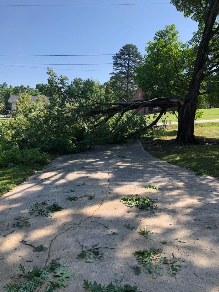 Cothren Construction Tree & Land Management - Gaffney, SC