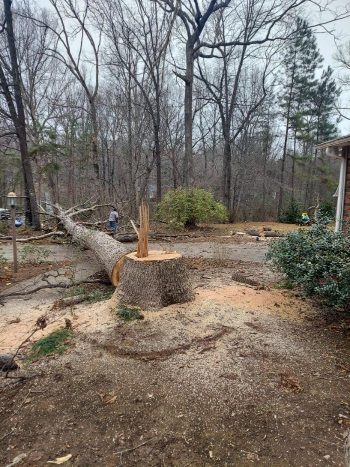 Cothren Construction Tree & Land Management - Gaffney, SC
