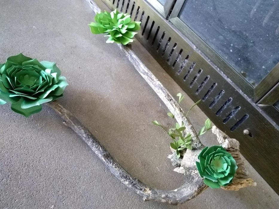 Great Lakes Spas - Stanton, MI