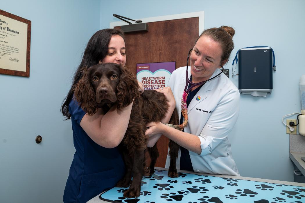 Battleground Hospital for Animals - Franklin, TN