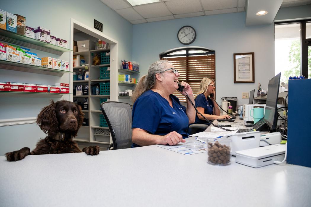Battleground Hospital for Animals - Franklin, TN