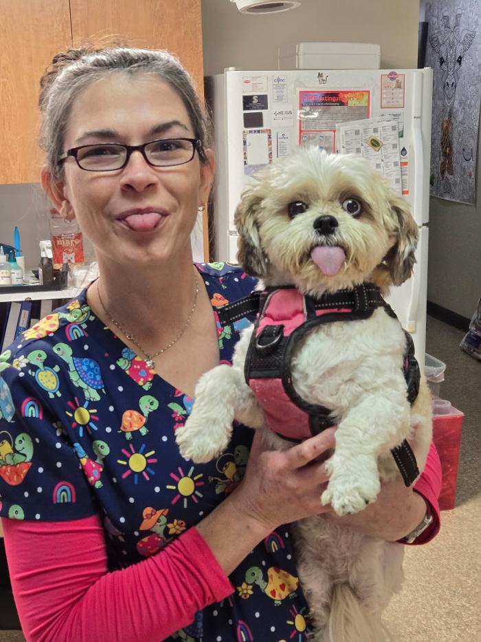 Community Animal Hospital - York, PA