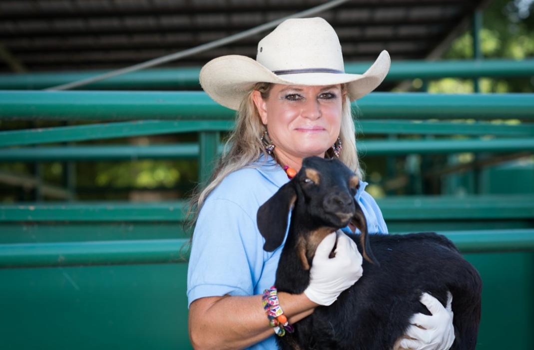 Morrilton Veterinary Clinic Image