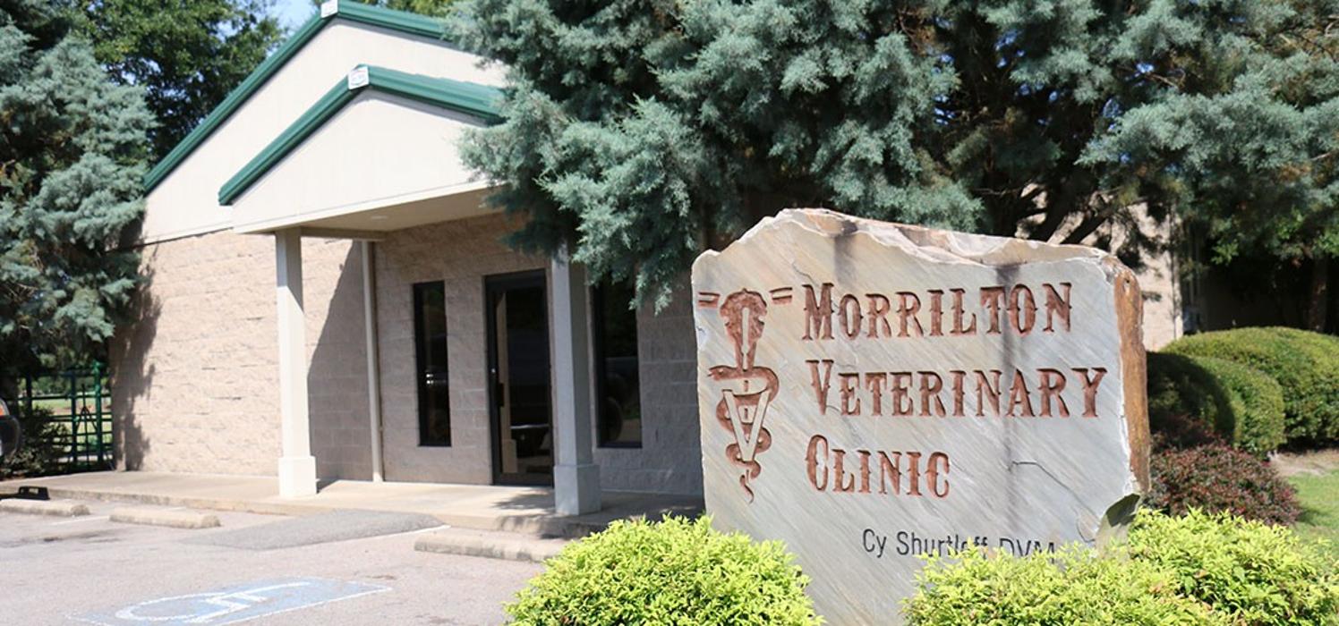 Morrilton Veterinary Clinic Image