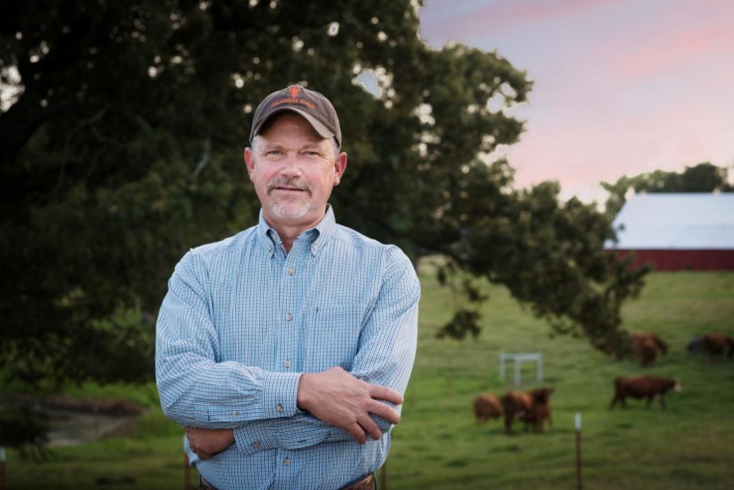 Morrilton Veterinary Clinic Image