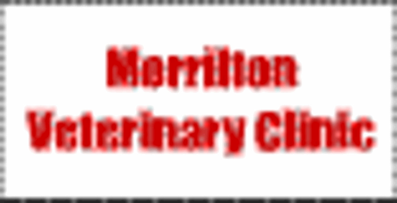 Morrilton Veterinary Clinic Image