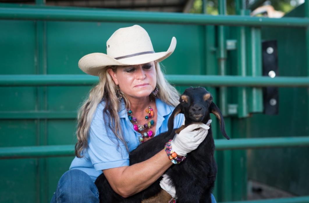 Morrilton Veterinary Clinic Image