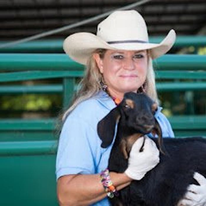 Morrilton Veterinary Clinic Image