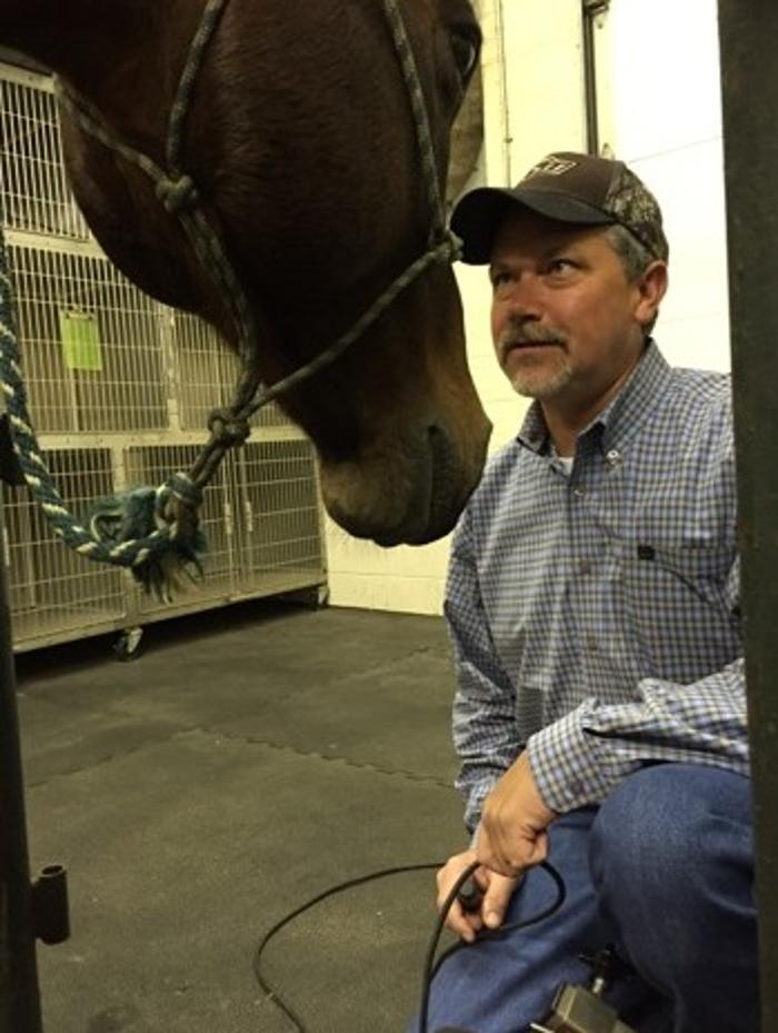 Morrilton Veterinary Clinic Image