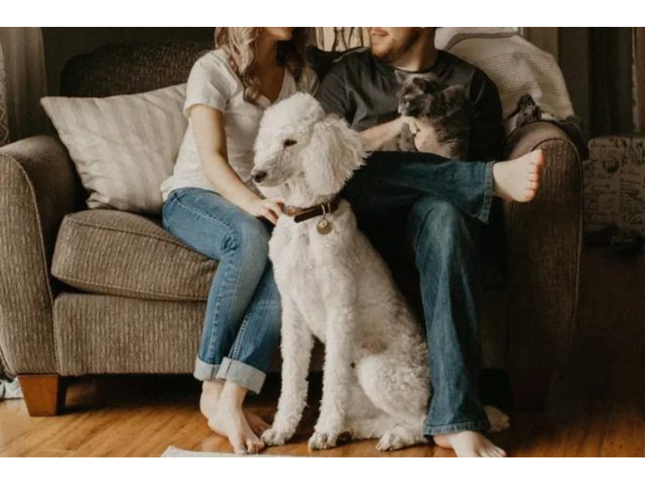 Rogers Group Property Management - Kittrell, NC