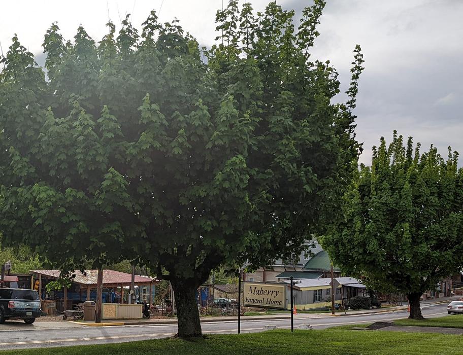 Maberry Funeral Home, Inc. Image