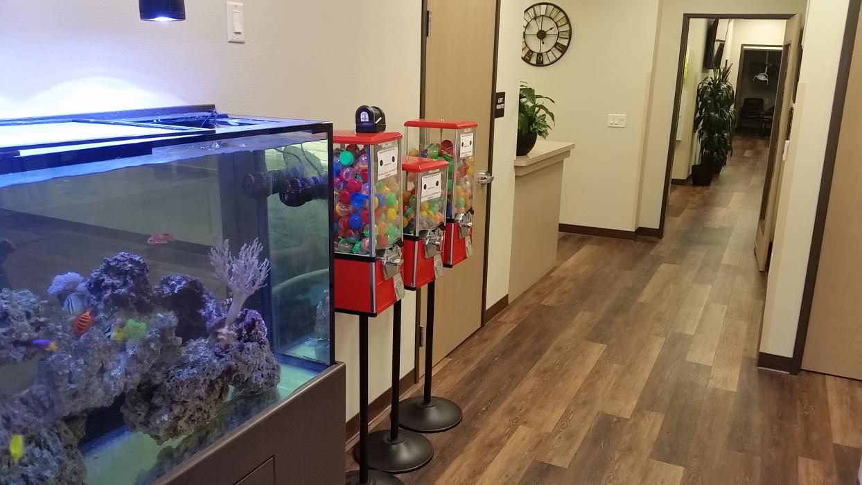 Kids Dental Group Image