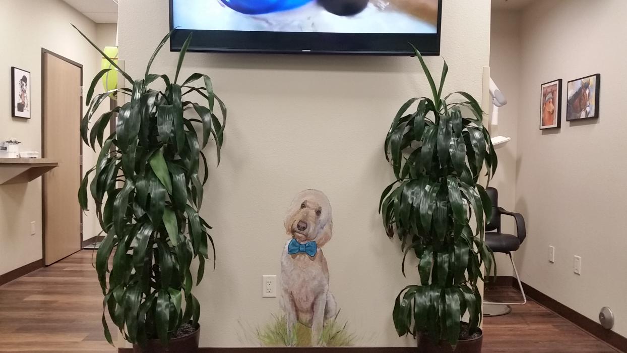 Kids Dental Group Image