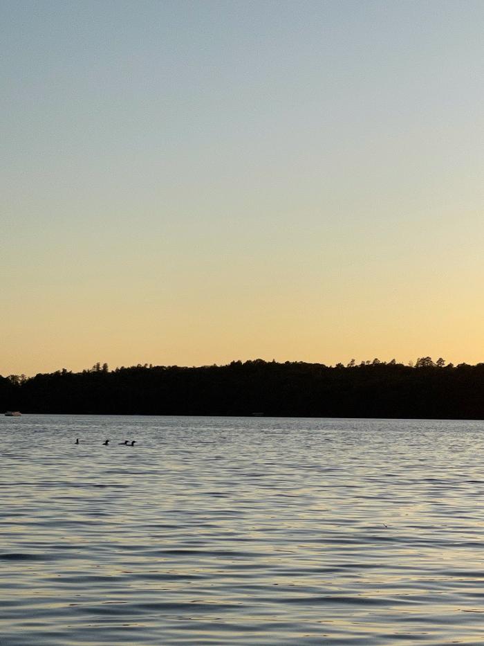 Morningside Dental - Sioux City, IA