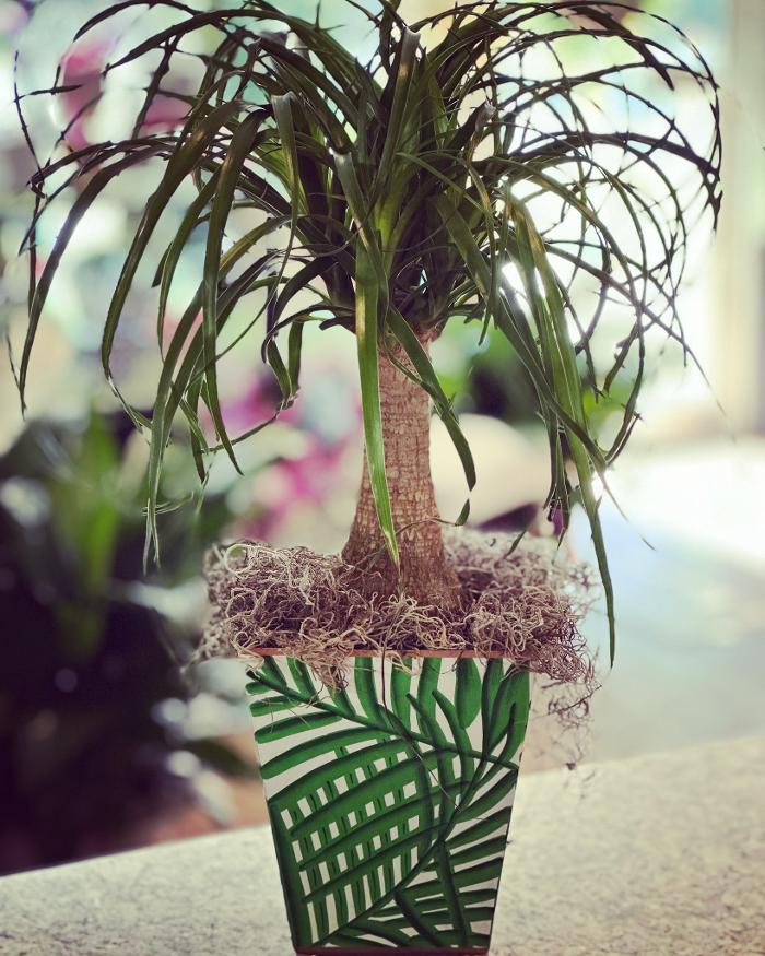 Gil-Man Florist Inc. - Creedmoor, NC