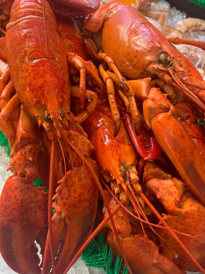 Morton's Gourmet Market - Sarasota, FL