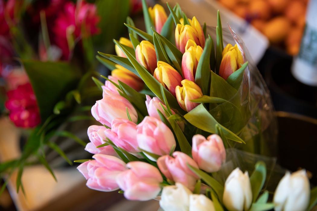 Morton's Gourmet Market - Sarasota, FL