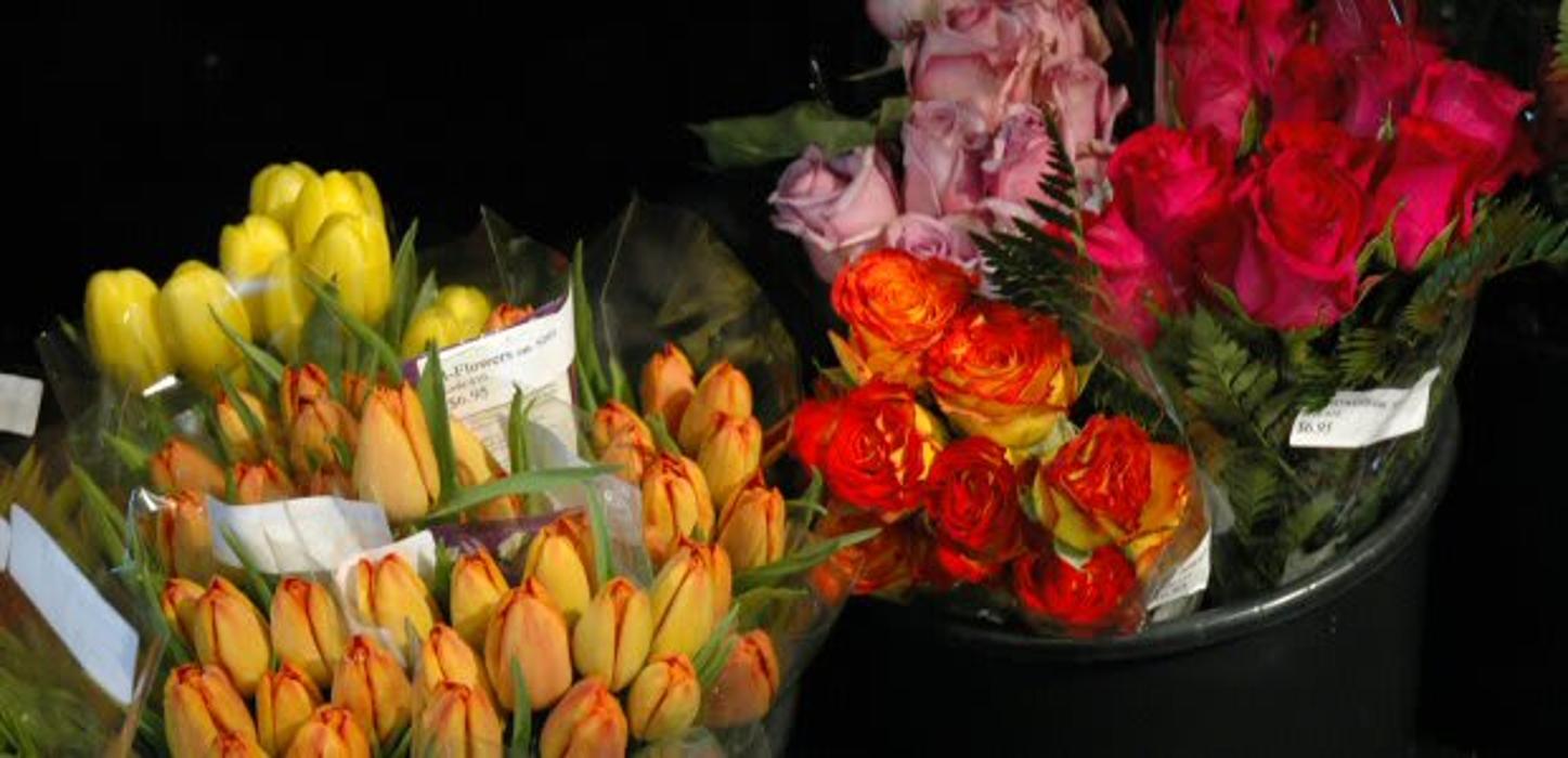 Morton's Gourmet Market - Sarasota, FL