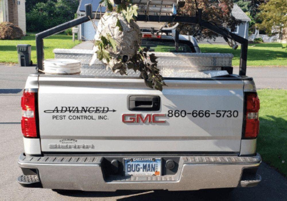 Advanced Pest Control Inc. - Wethersfield, CT