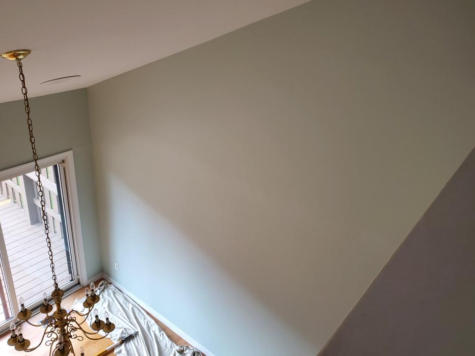 Allyn Painting Image