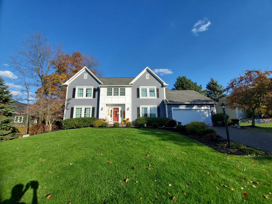 Allyn Painting Image