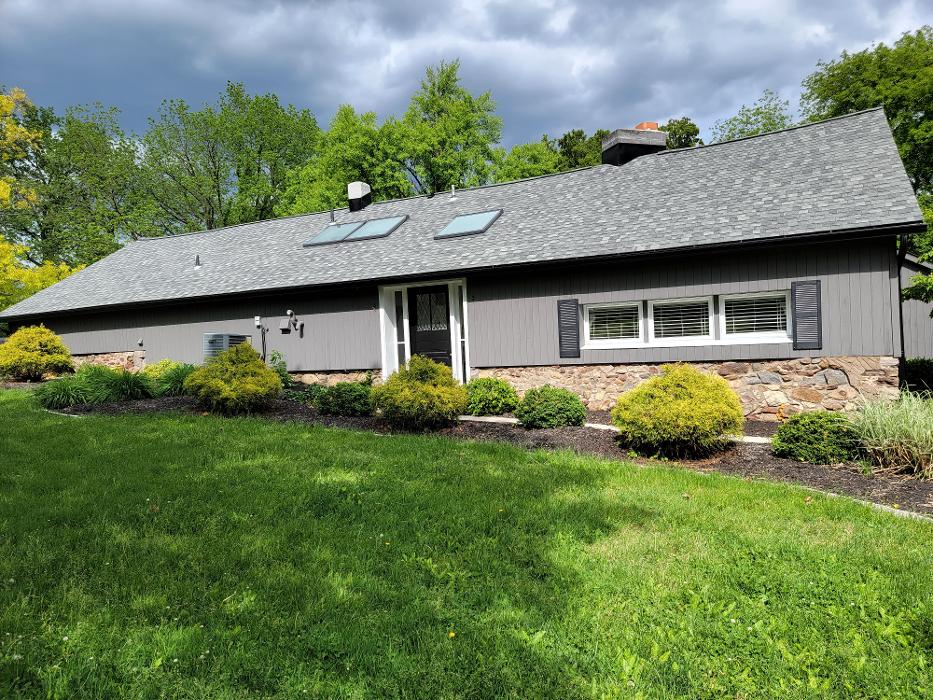 Allyn Painting Image