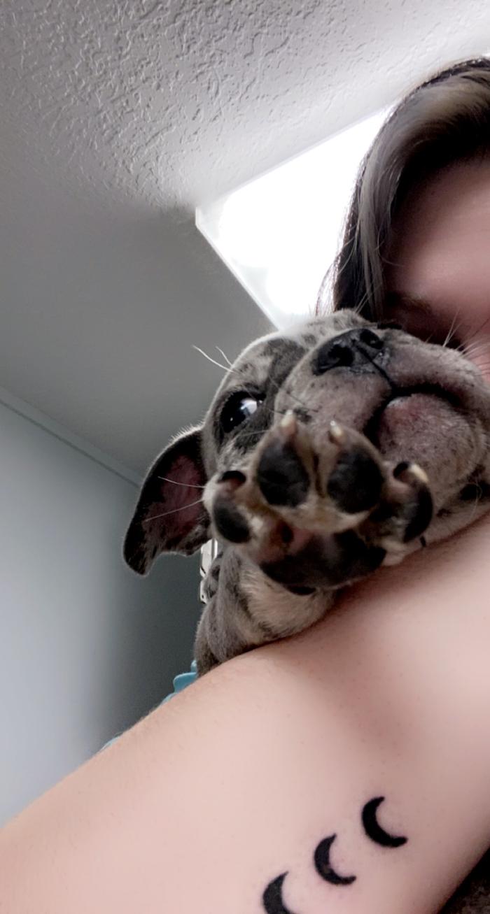 Beall Animal Clinic - Leesville, LA