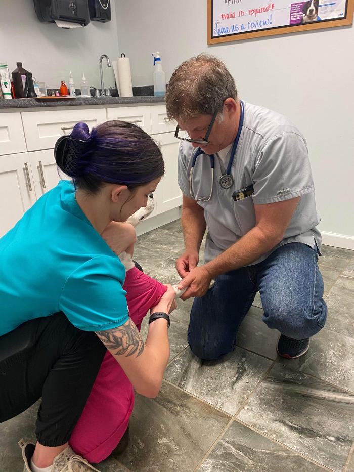 Beall Animal Clinic - Leesville, LA