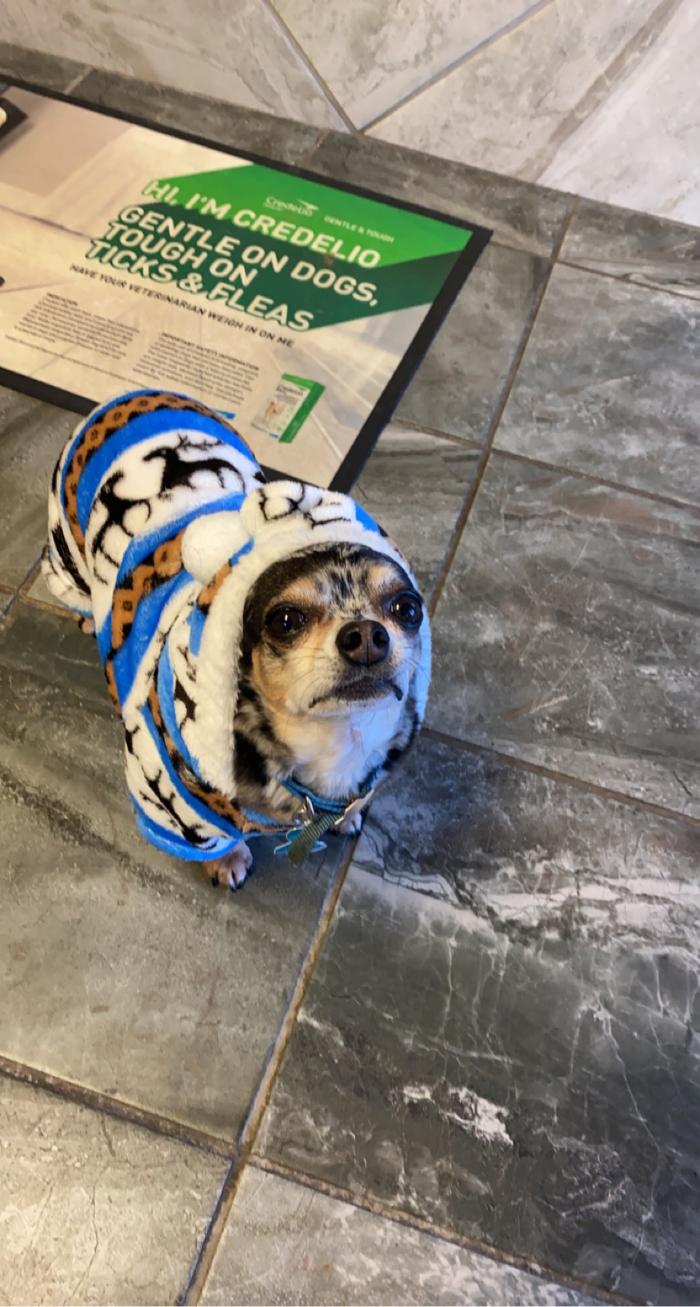 Beall Animal Clinic - Leesville, LA