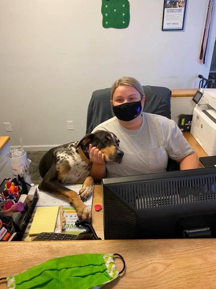 Beall Animal Clinic - Leesville, LA