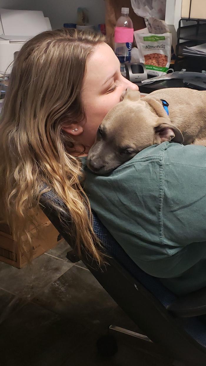 Beall Animal Clinic - Leesville, LA