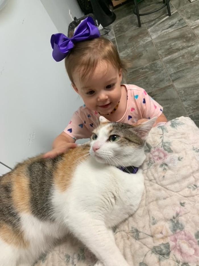 Beall Animal Clinic - Leesville, LA