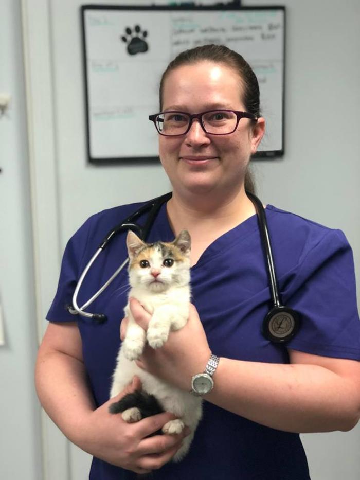 Beall Animal Clinic - Leesville, LA