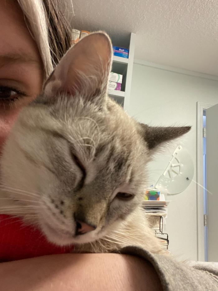 Beall Animal Clinic - Leesville, LA