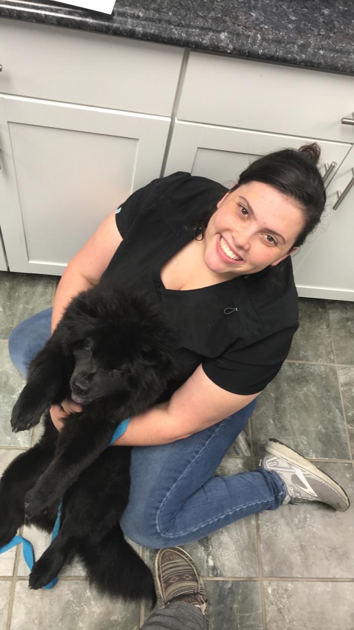 Beall Animal Clinic - Leesville, LA