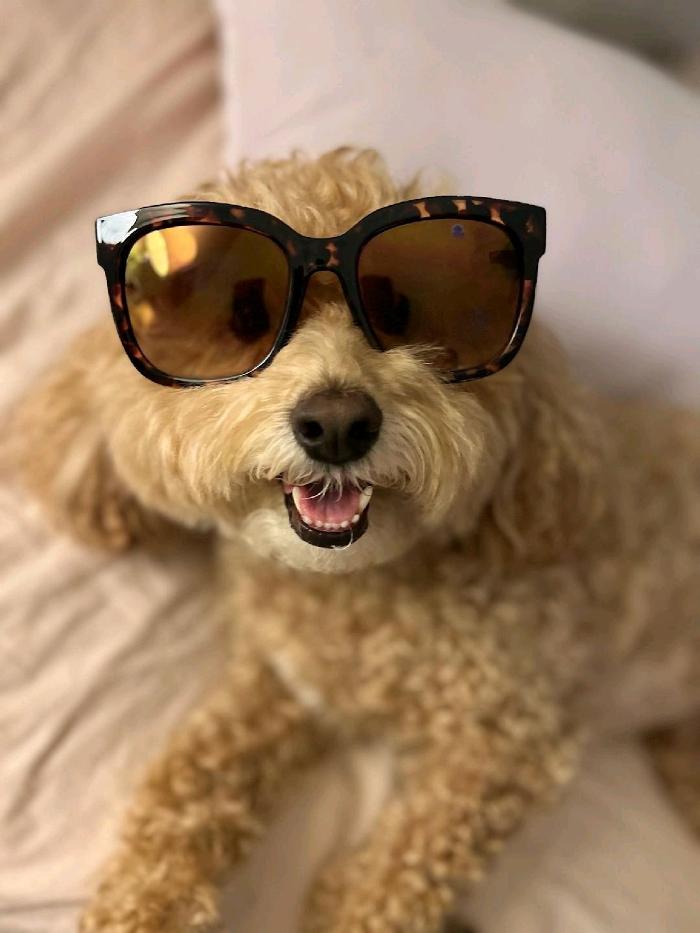 Estero Bay Dental Image