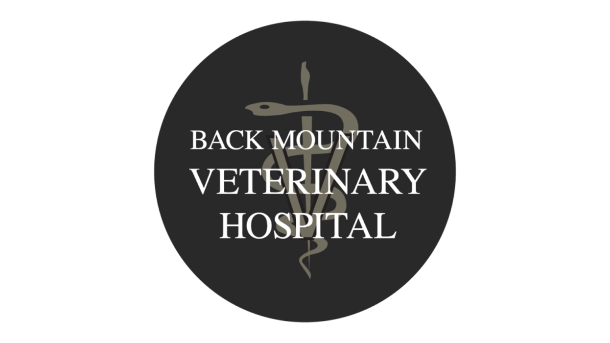 Back Mountain Veterinary Hospital