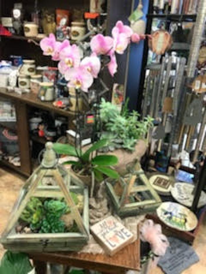 Goshen Floral & Gift Shop Inc - Goshen, IN