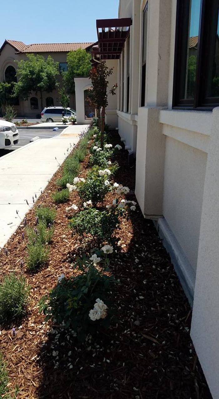 Settimi Family Dentistry - Visalia, CA