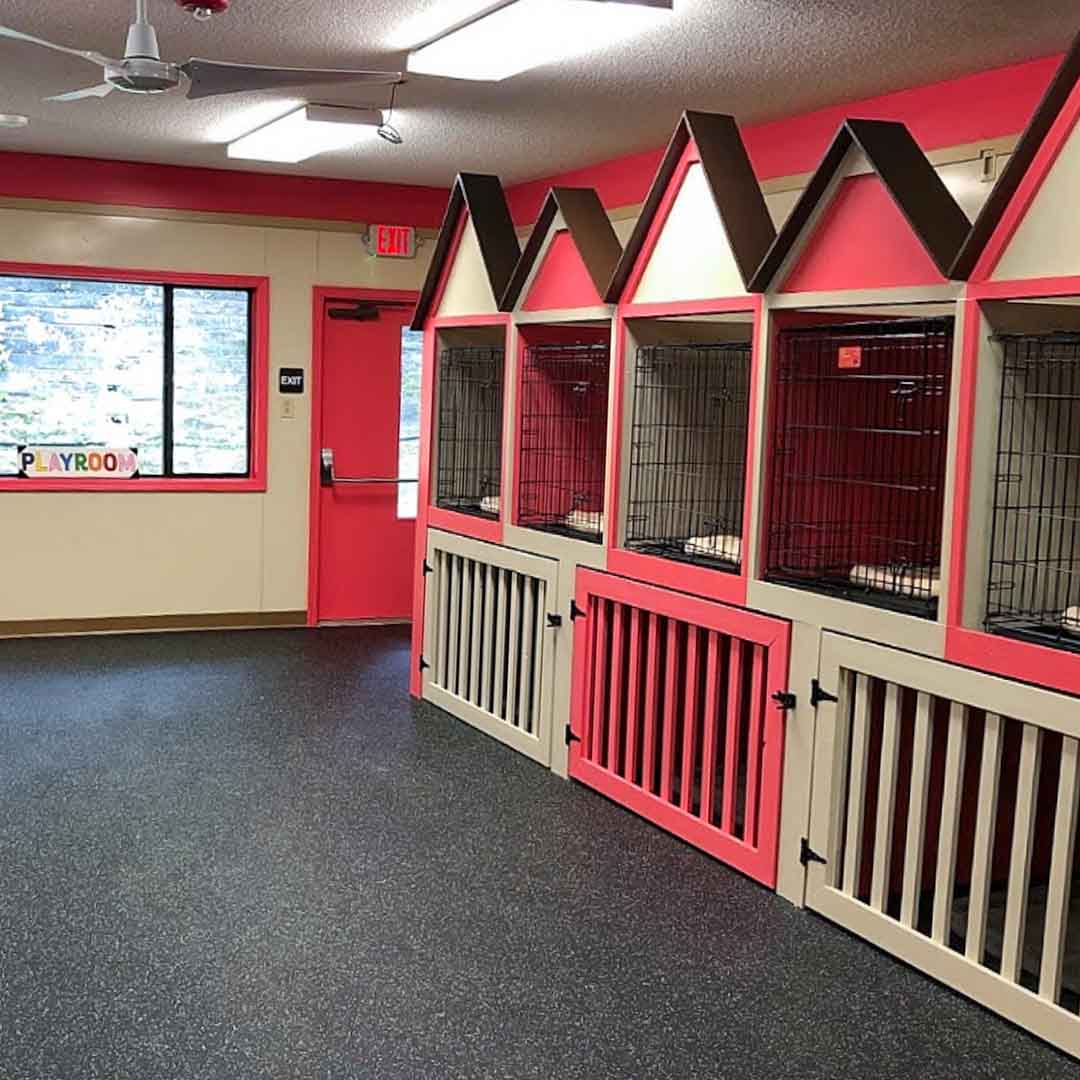 Image 2 | Fido Fido Dog Daycare & Boarding