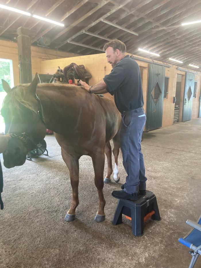 Falk Family Total Health Image