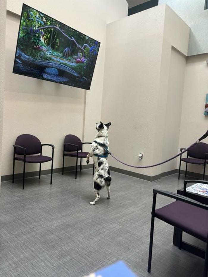 Apple Valley Veterinary Clinic Image