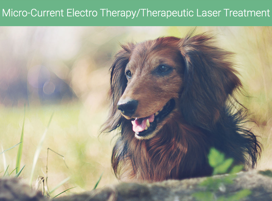 Apple Valley Veterinary Clinic Image