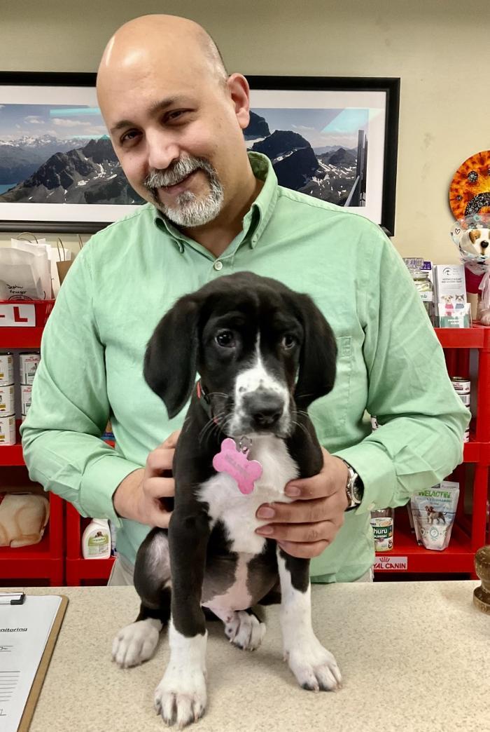 Apple Valley Veterinary Clinic Image