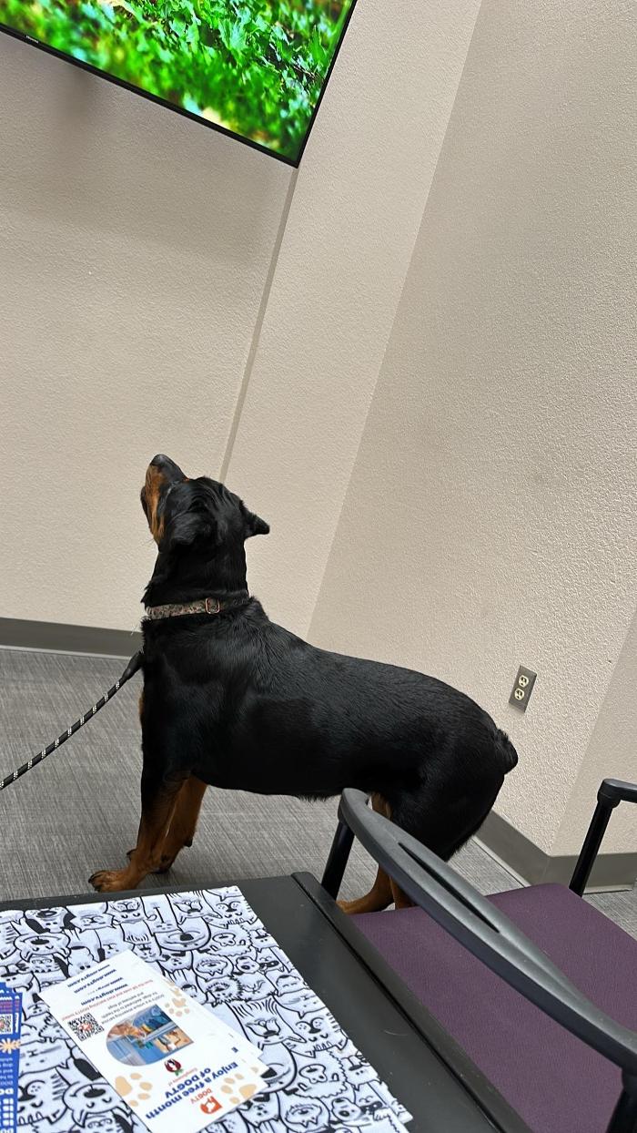 Apple Valley Veterinary Clinic Image