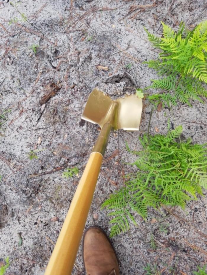 Pierpan Family Dentistry Image