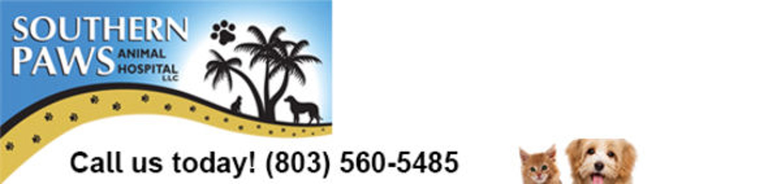 Southern Paws Animal Hospital - Lancaster, SC
